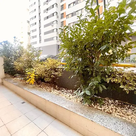 Address 12 부쿠레슈티